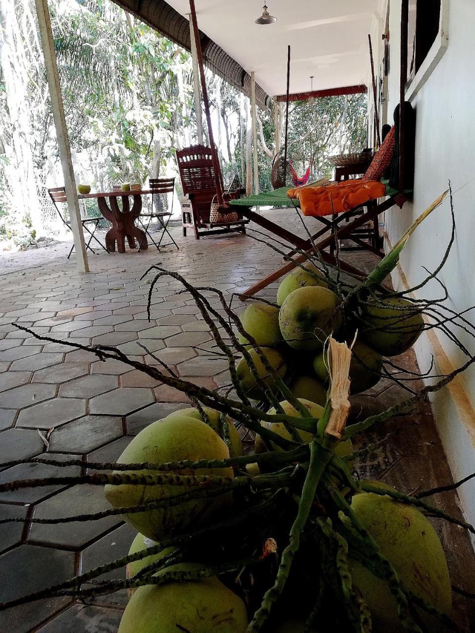 La Maison Des Bambous Siem Reap Exteriér fotografie